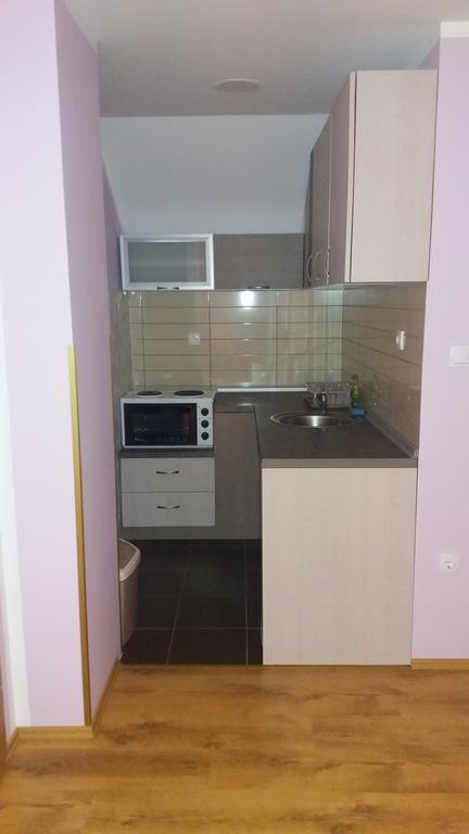 Apartmani Aleksijevic ซลาตีบอร์ ภายนอก รูปภาพ