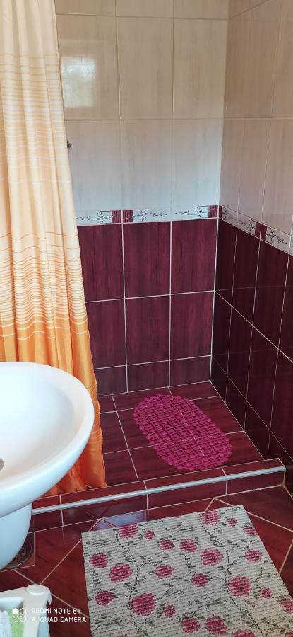 Apartmani Aleksijevic ซลาตีบอร์ ภายนอก รูปภาพ