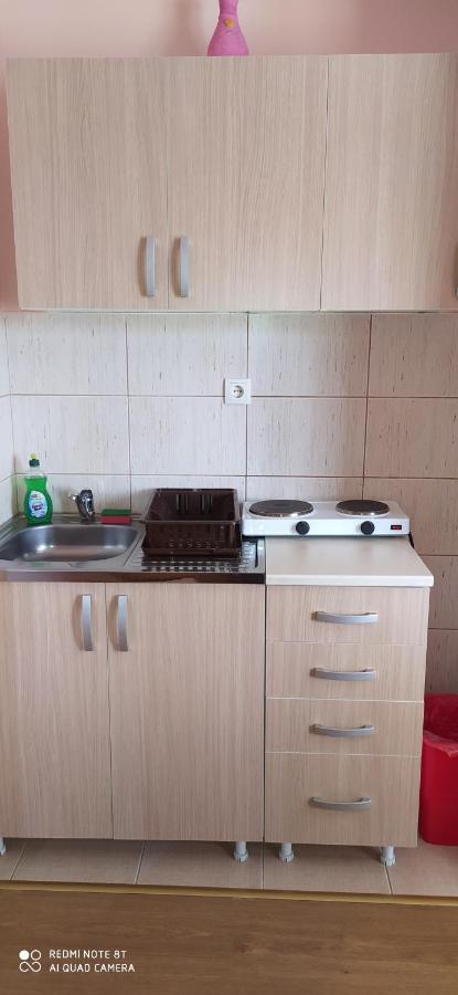 Apartmani Aleksijevic ซลาตีบอร์ ภายนอก รูปภาพ