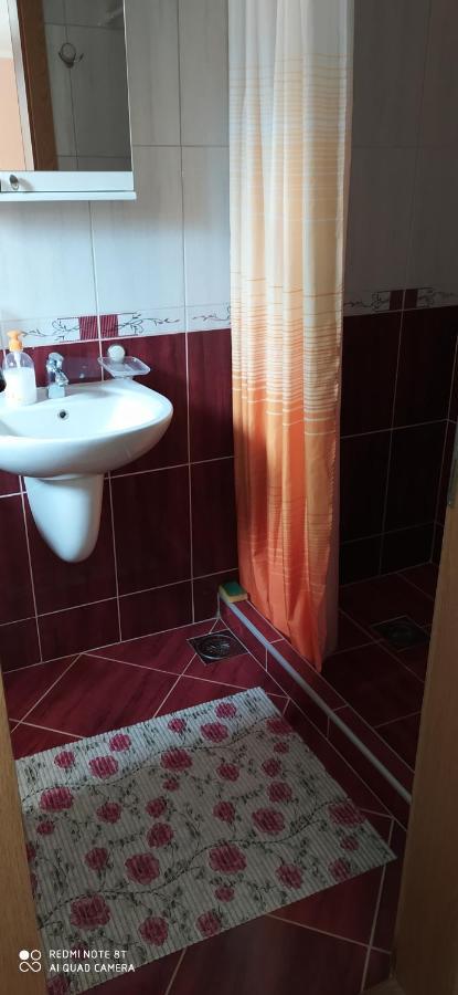 Apartmani Aleksijevic ซลาตีบอร์ ภายนอก รูปภาพ